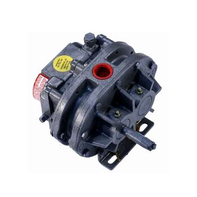 Roots Universal RAI Blowers